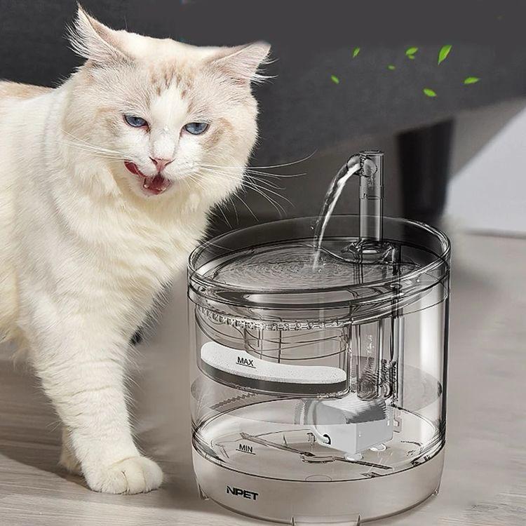 FUENTE TRANSPARENTE PARA MASCOTAS