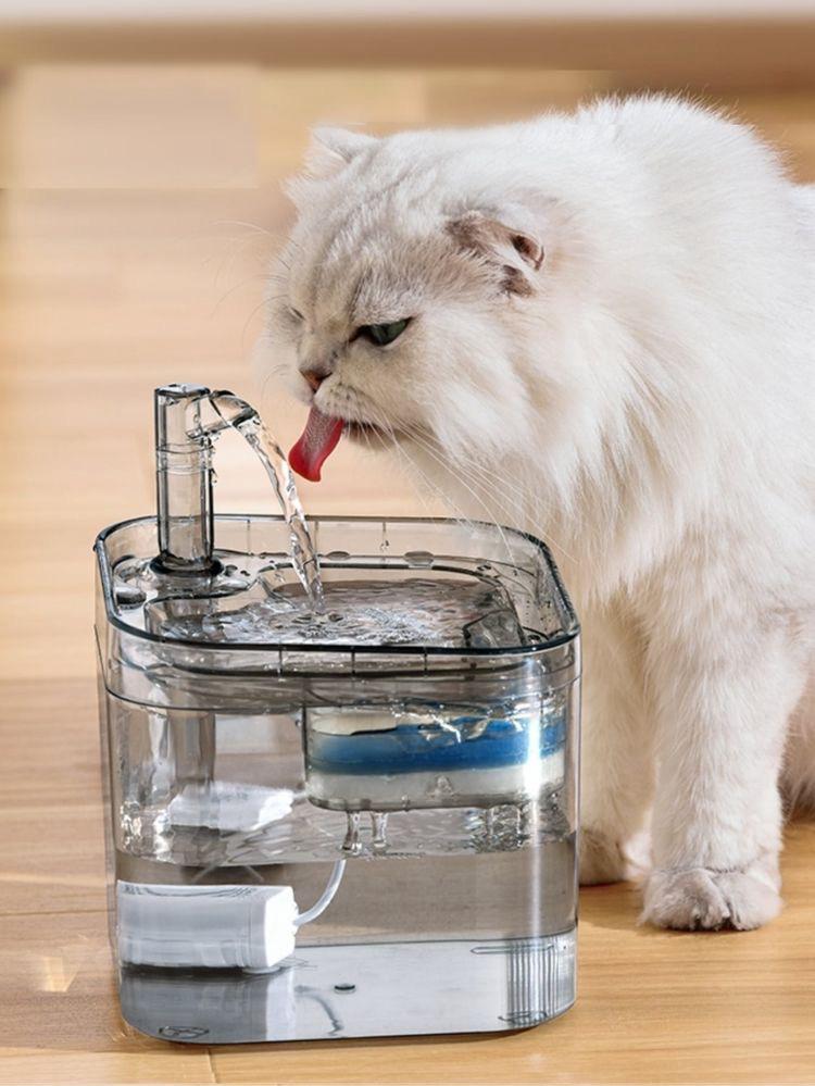 FUENTE TRANSPARENTE PARA MASCOTAS