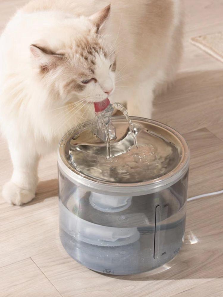 FUENTE TRANSPARENTE PARA MASCOTAS