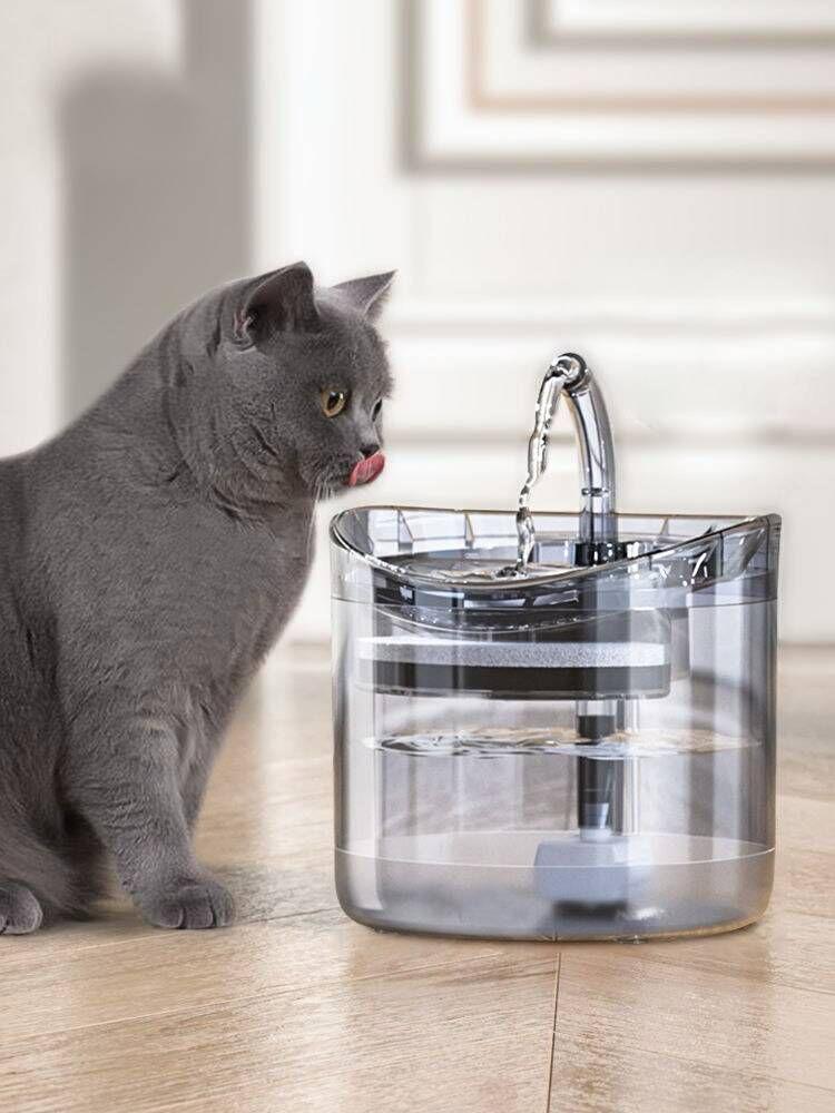 FUENTE TRANSPARENTE PARA MASCOTAS
